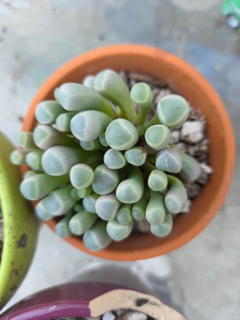 A very good day for plant buying!!