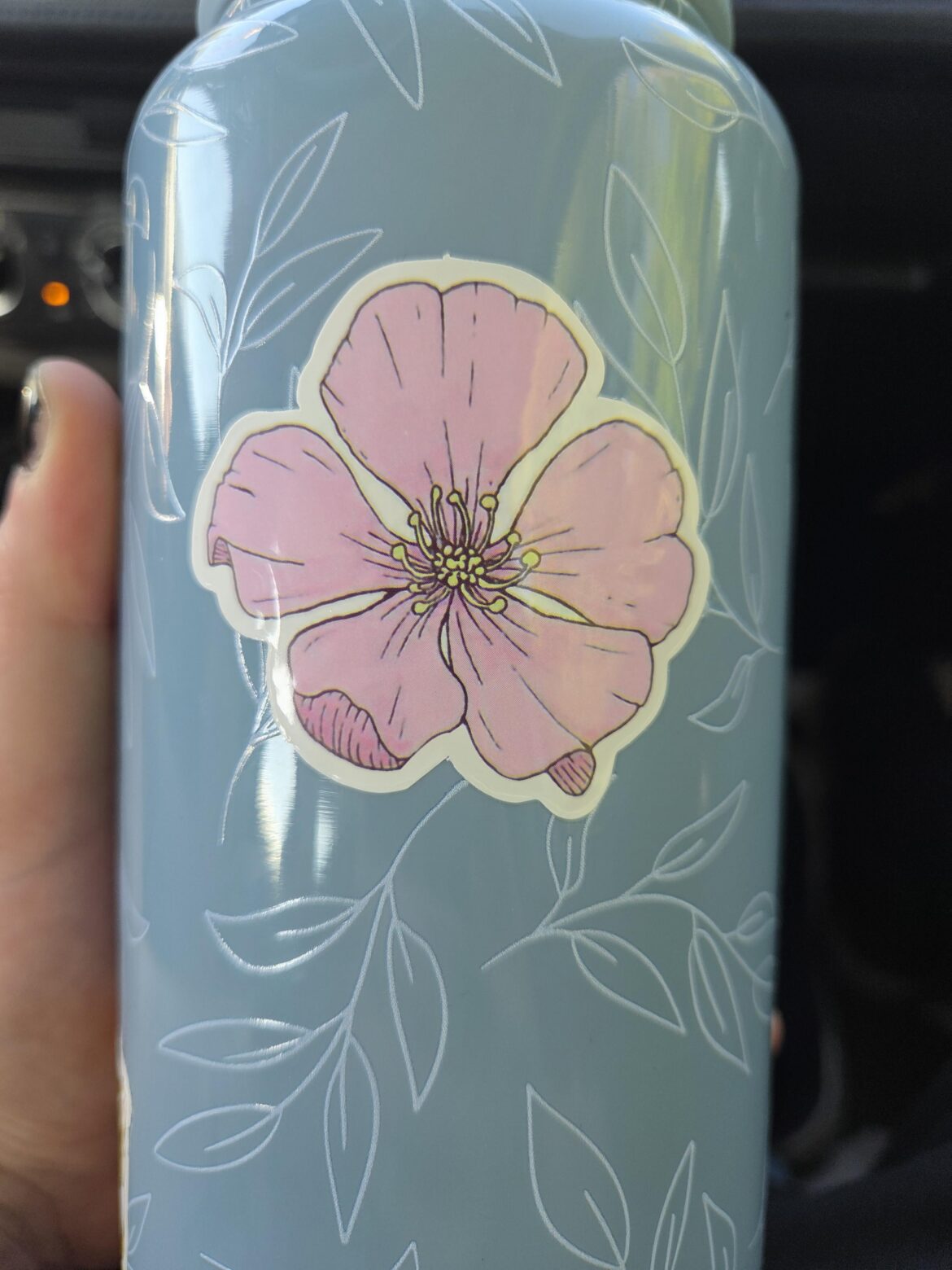 Thought it was a lotus but after comparing I was wrong