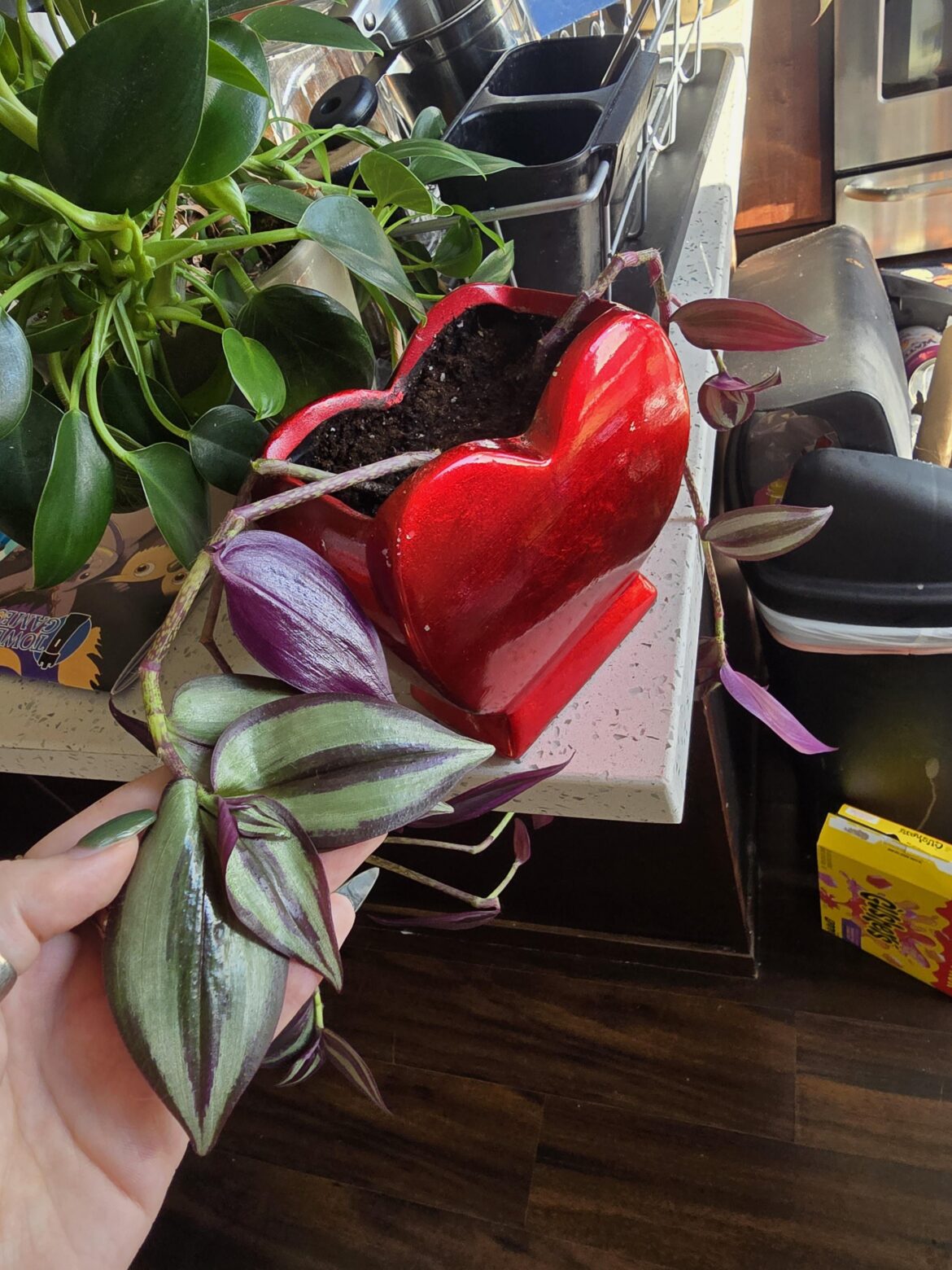 First Proplift! First Proplift!
