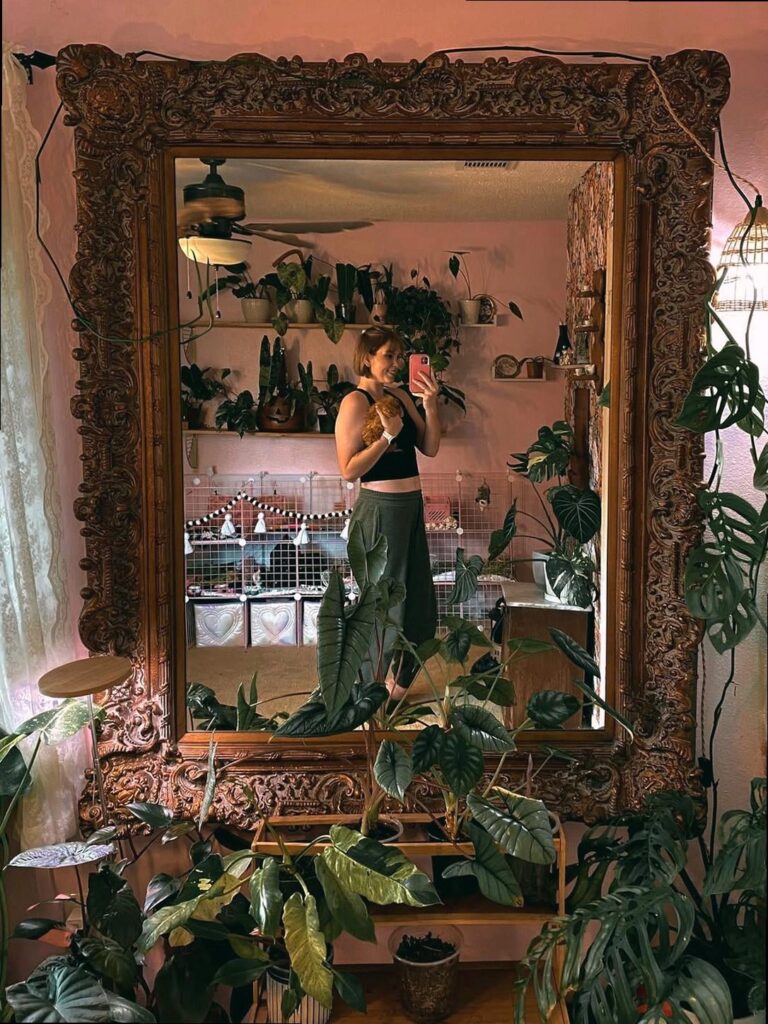 My plant room and got a deep clean then reset