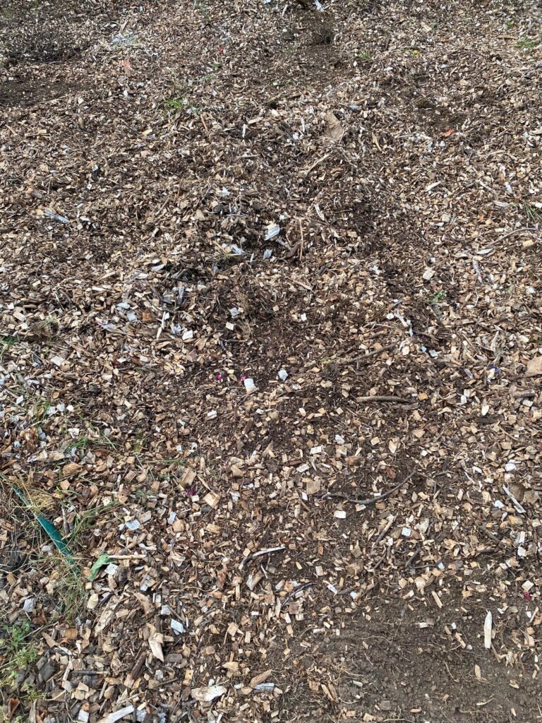 Did some cardboard mulching and finally poked around today. Is this good to start planting?
