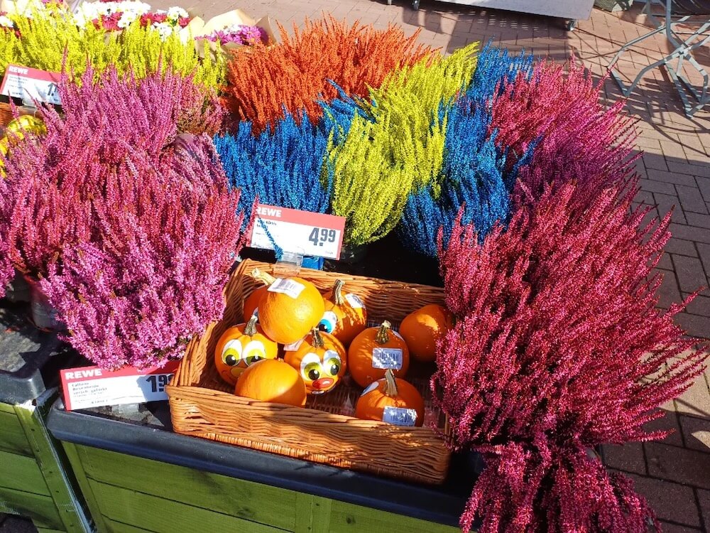 One shopper pointed out in a post on r/plants that a store painted over plants to make them appear more vibrant.