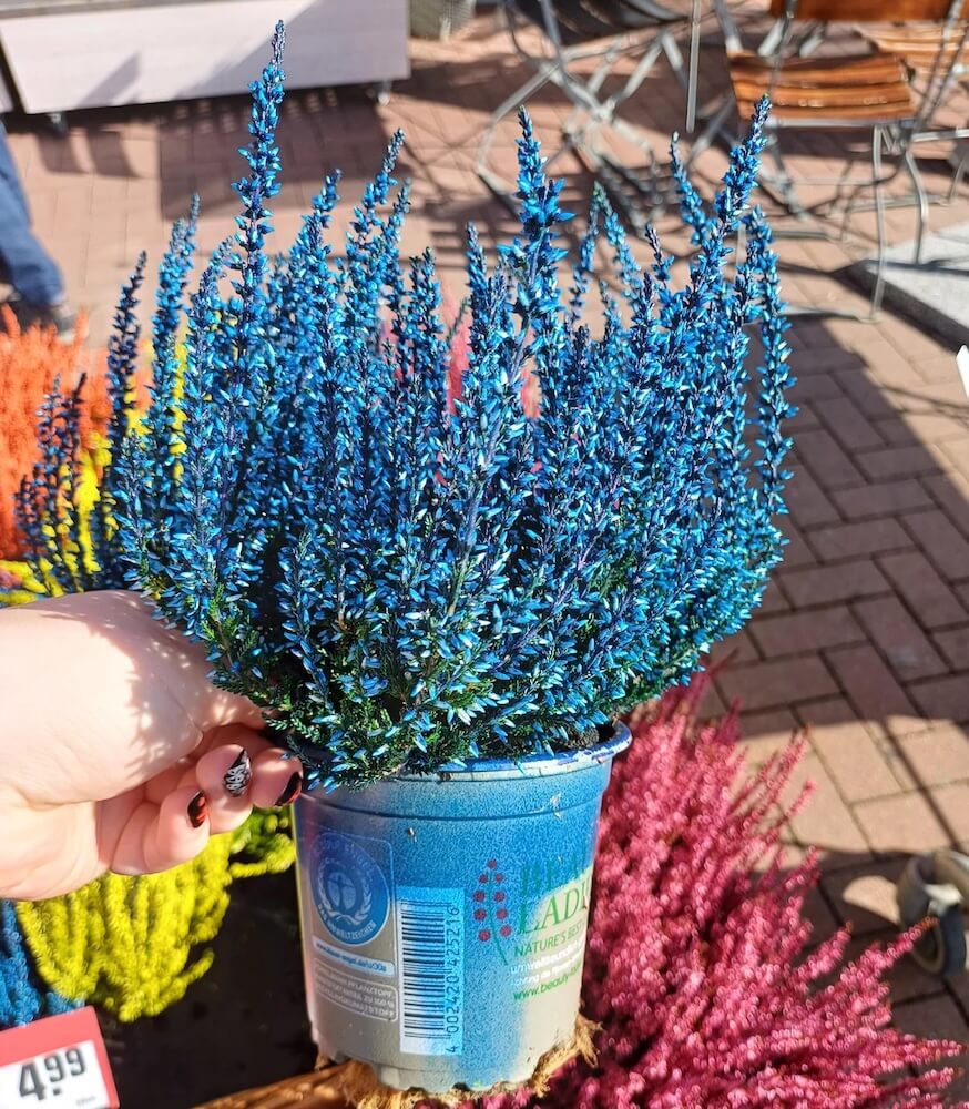 One shopper pointed out in a post on r/plants that a store painted over plants to make them appear more vibrant.
