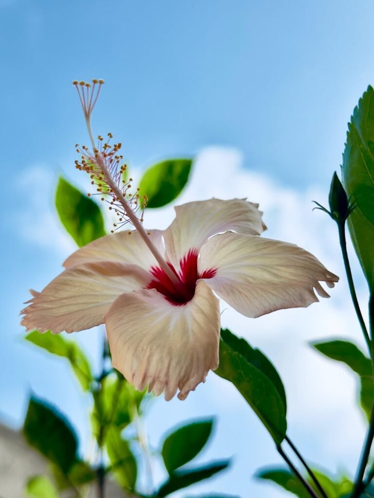 Showcasing my photography skills.