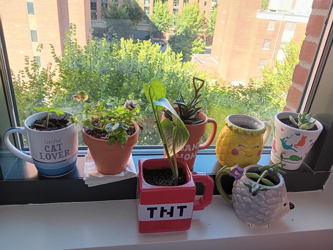 My own little happy place ☺️