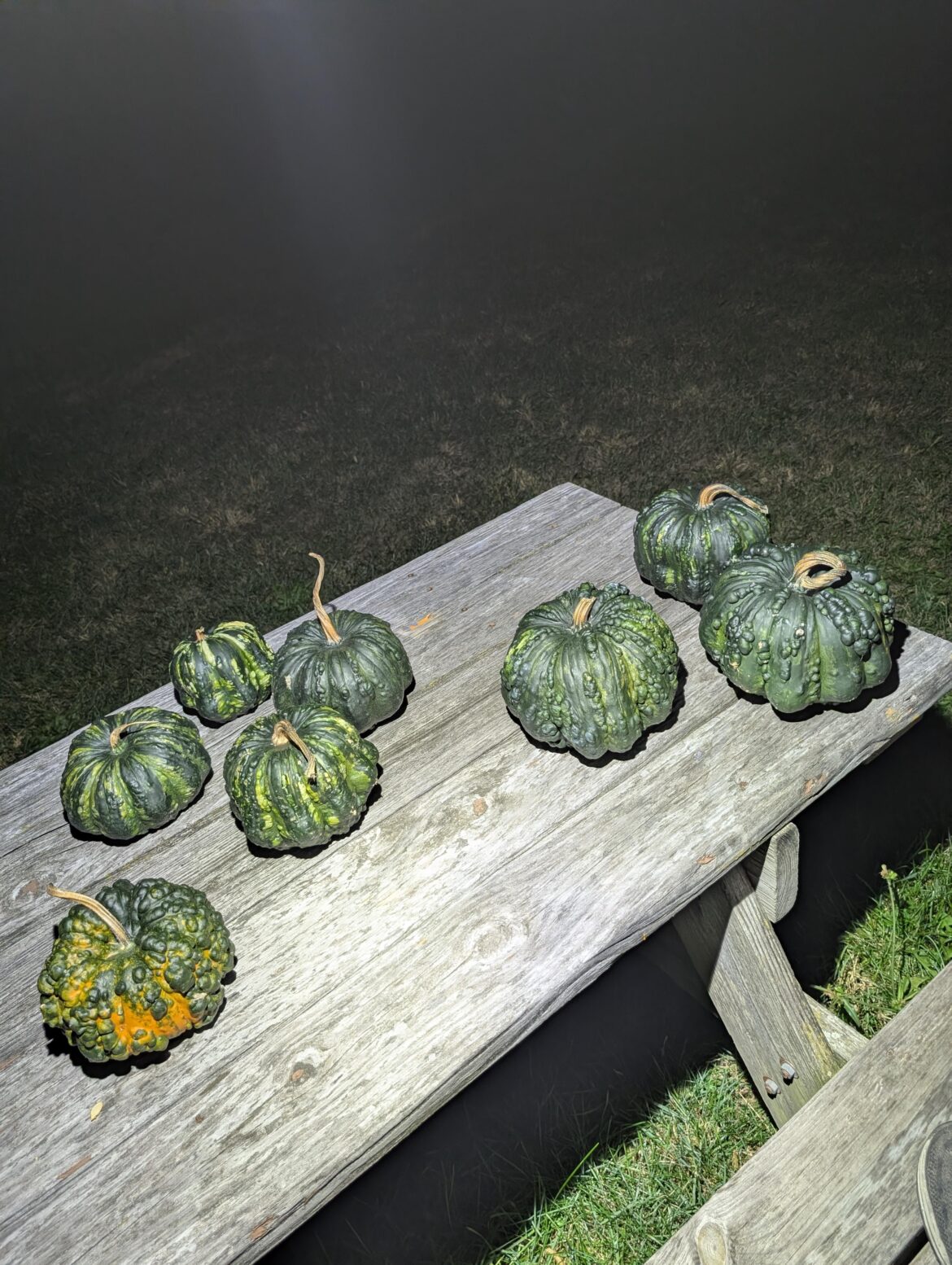 Squash