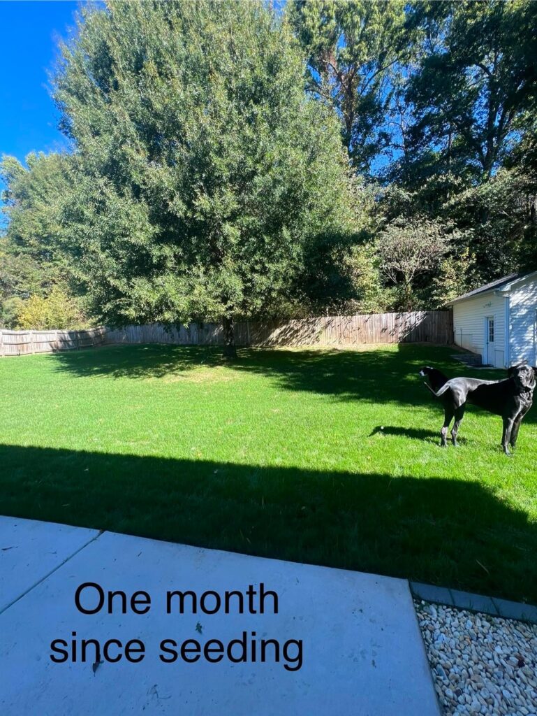 Alright here is my reno (looks good from far but far from good) Alright here is my reno (looks good from far but far from good)