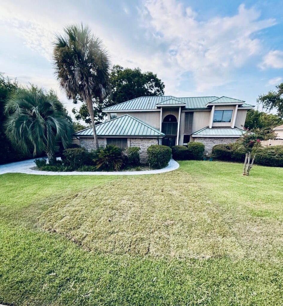 Finally got the lawn looking how I wanted