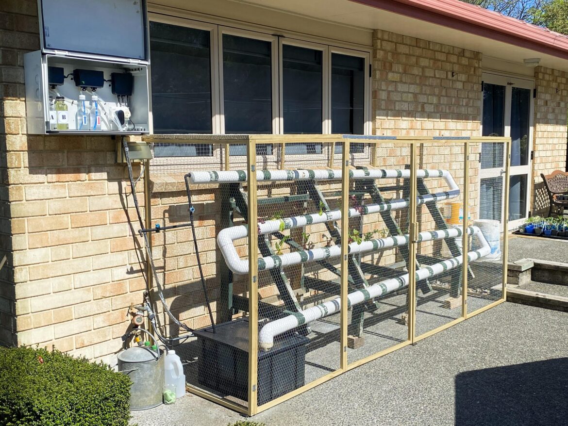 One of the best things about NFT hydroponics isn’t what you think One of the best things about NFT hydroponics isn’t what you think