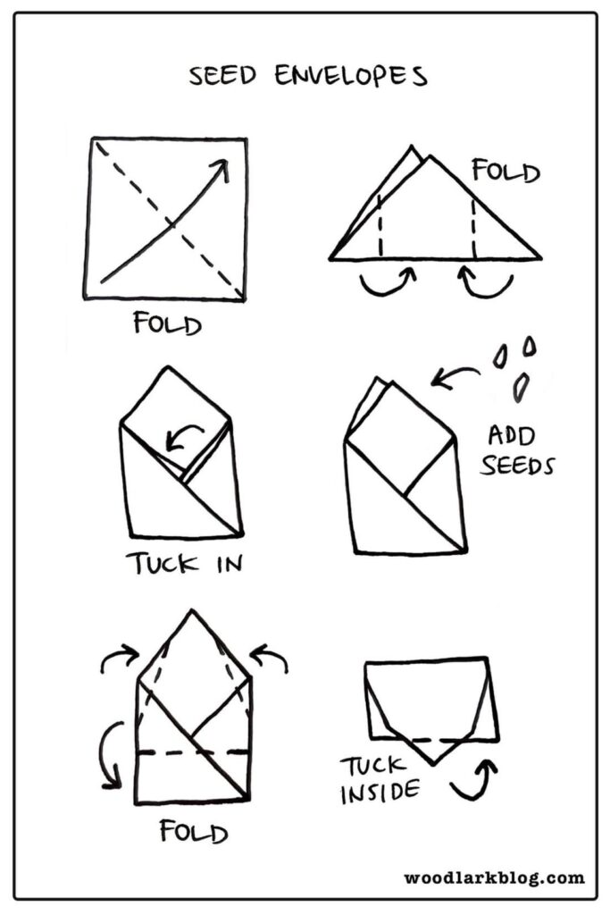 DIY Seed Envelope Guide