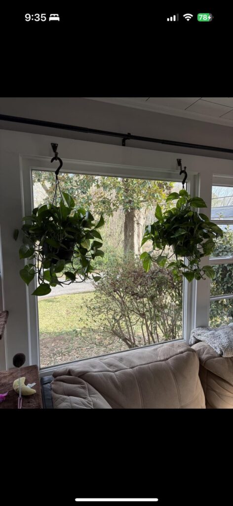 One living room renovation and 8 months later…