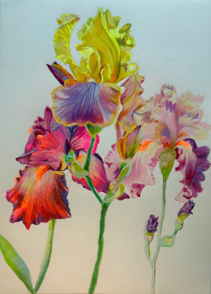 Drawing flowers has been getting me through my cancer diagnosis