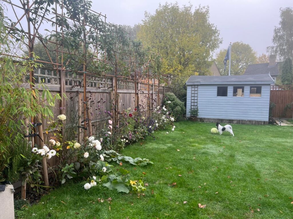 First time gardening - how to prep for winter?