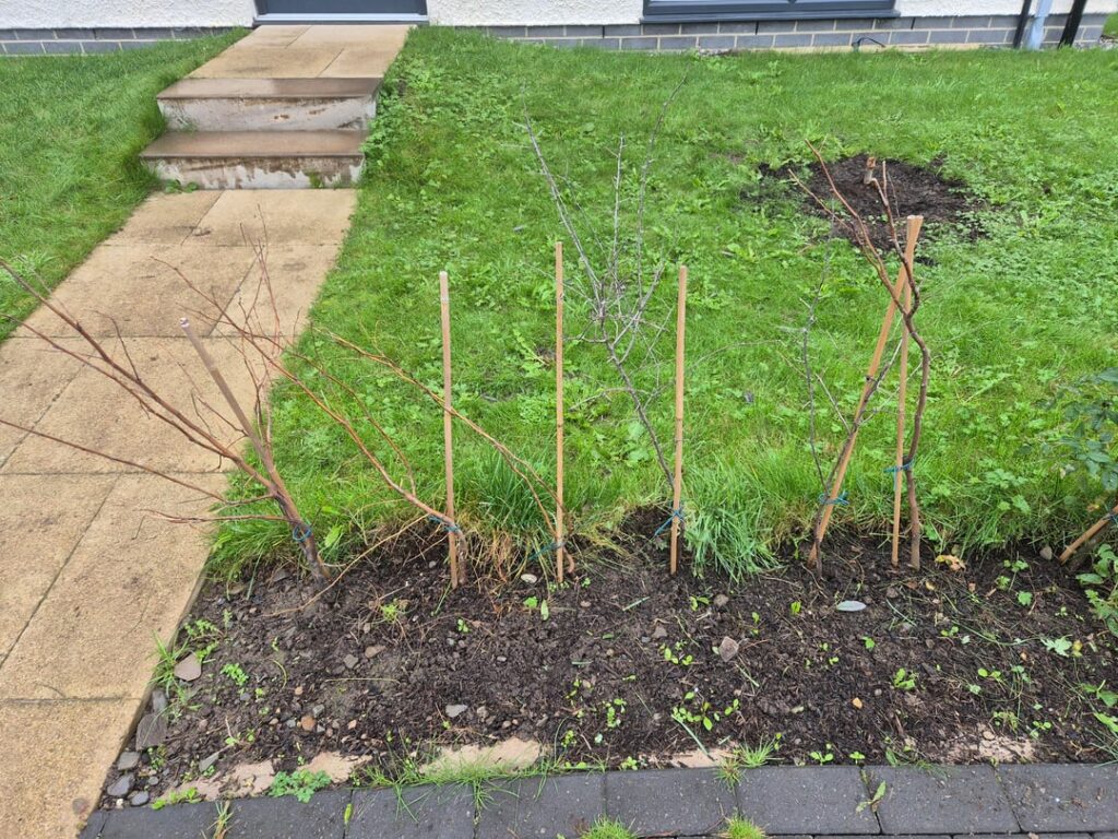 Failed hedge - what to do?