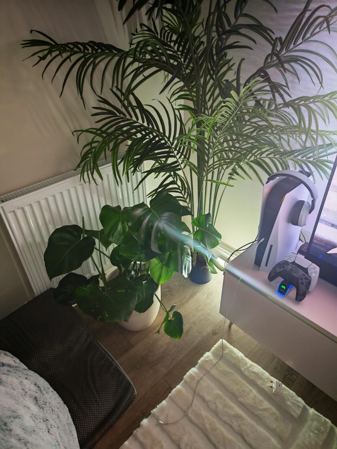 One year old monsters