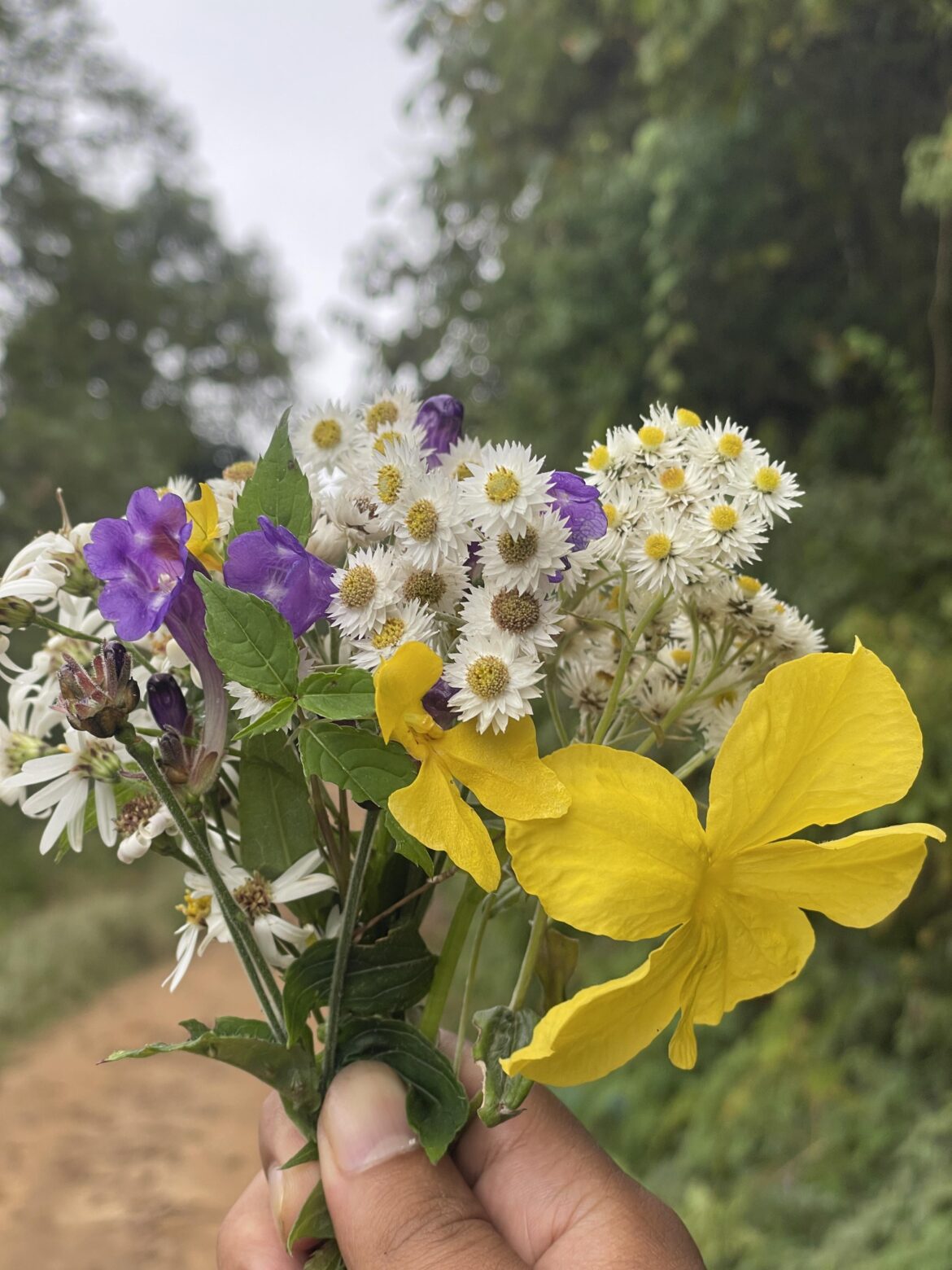 Here take this, here to make your day😉