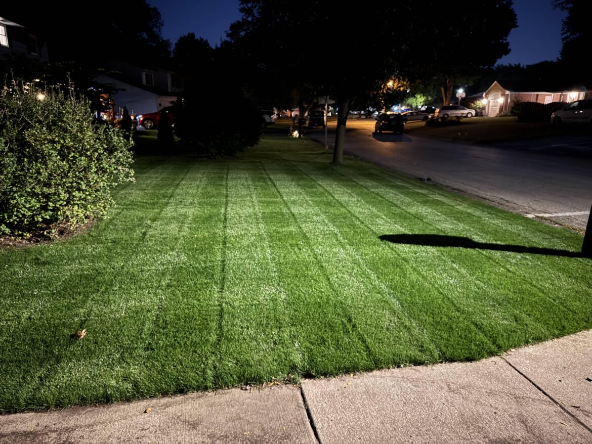 Stripes in the night