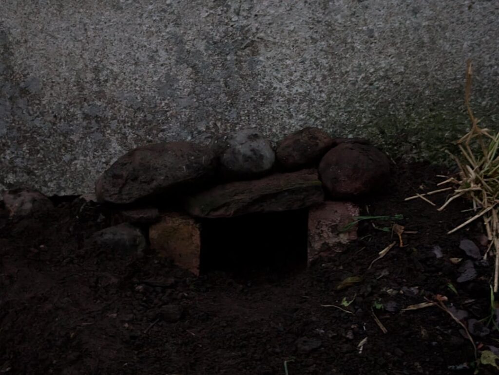 I built a tunnel for my hedgehog highway, what do we think?