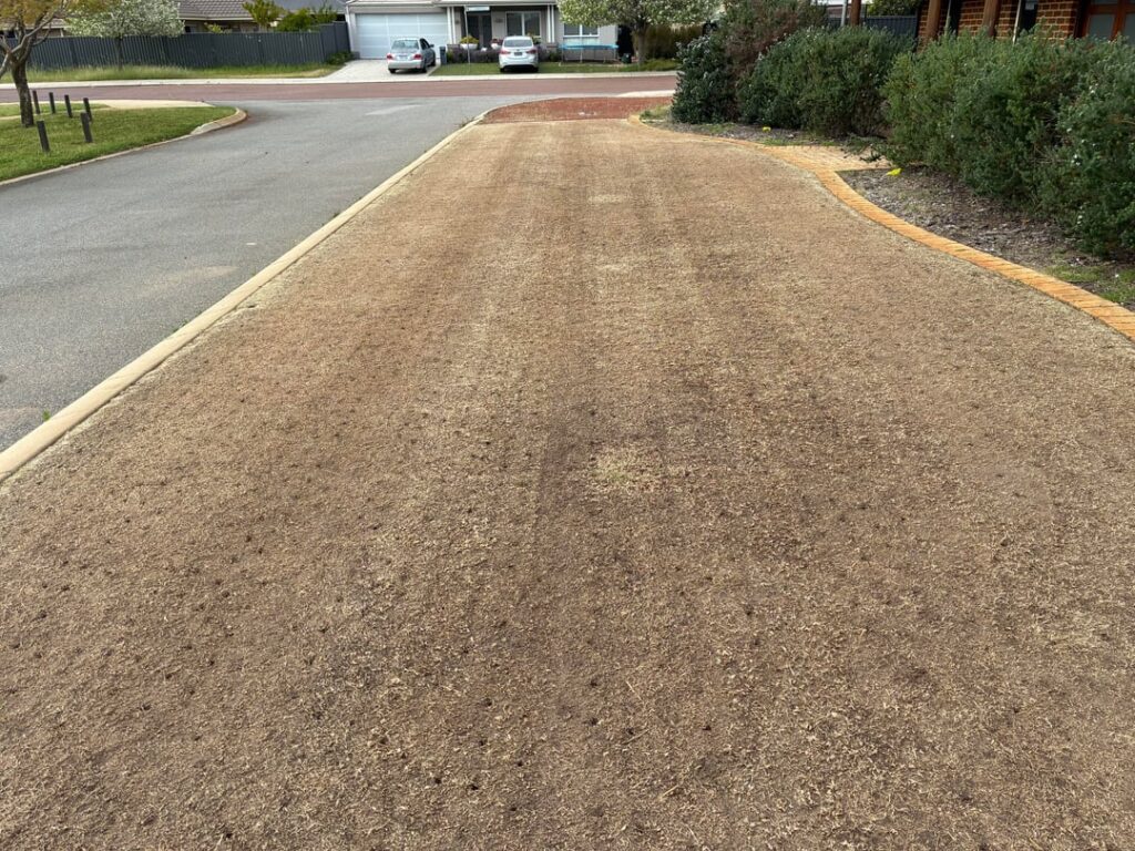 2 weeks post Reno – Perth, Western Australia. 2 weeks post Reno - Perth, Western Australia.