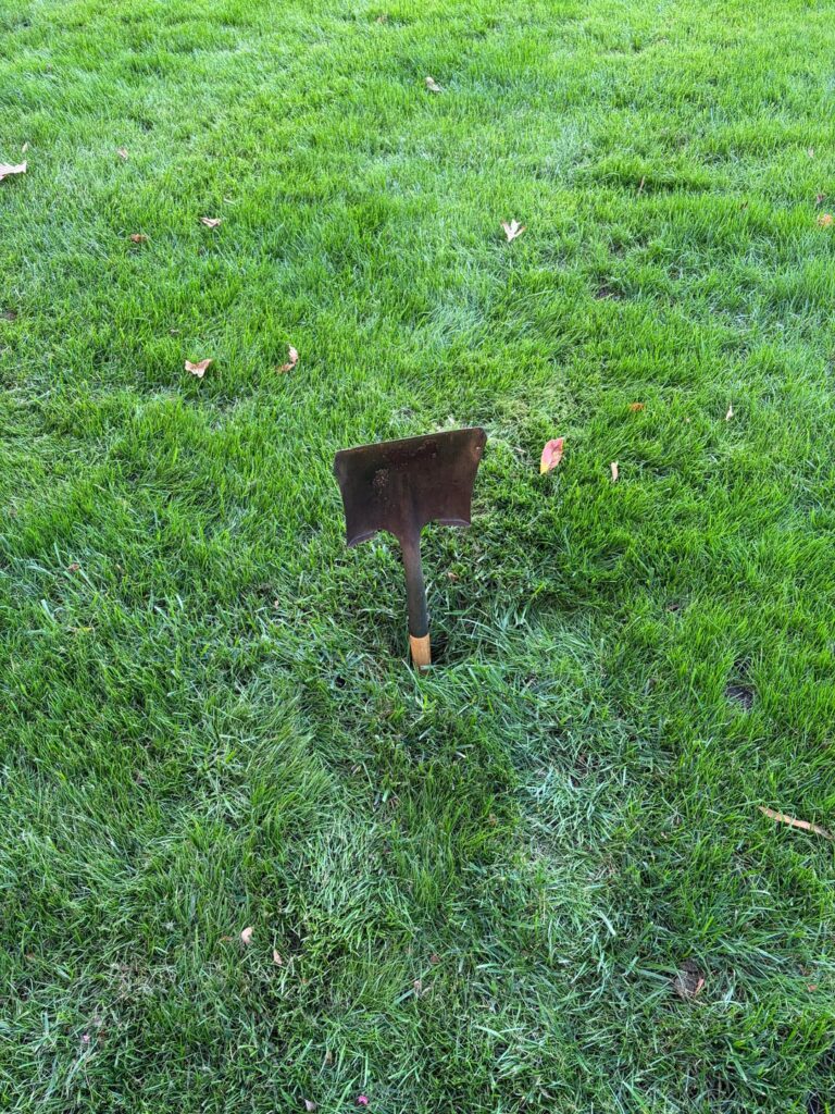 Wha could this be???