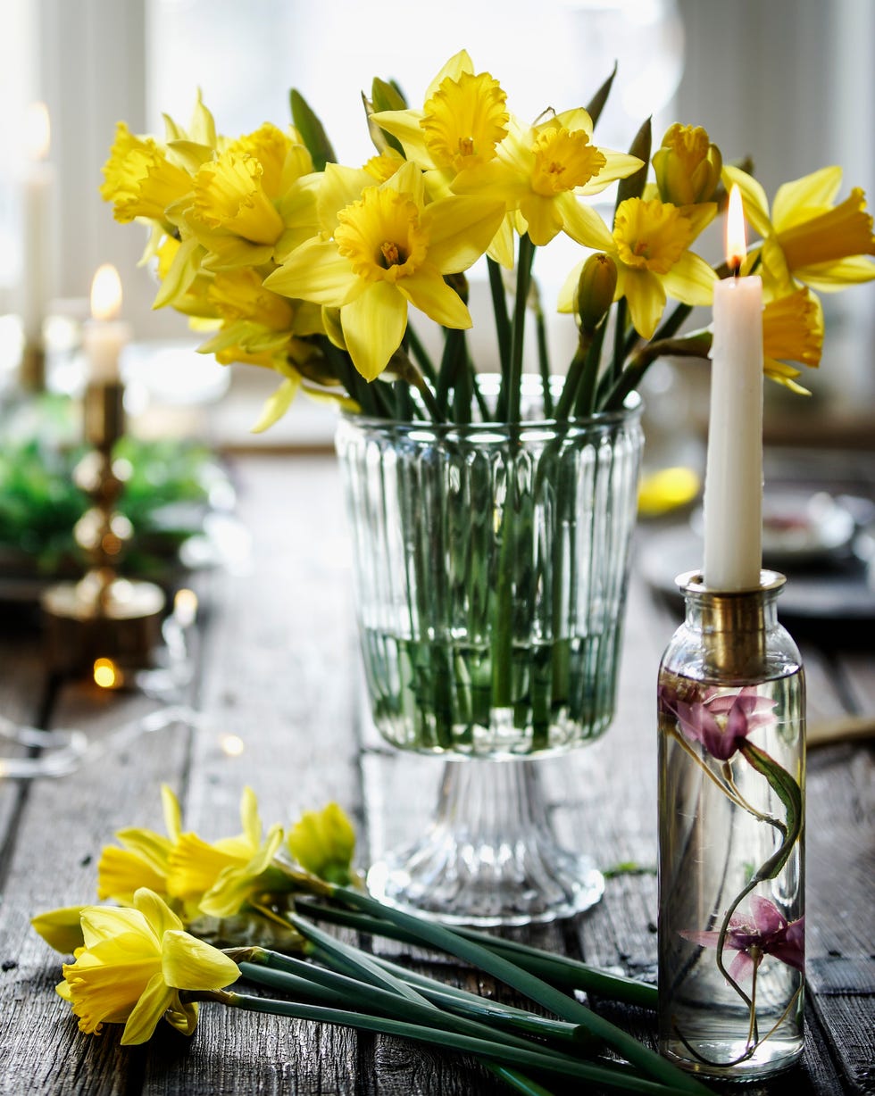 vase with beautiful yellow daffodils flowers bunch on wooden table at window. springtime lifestyle
