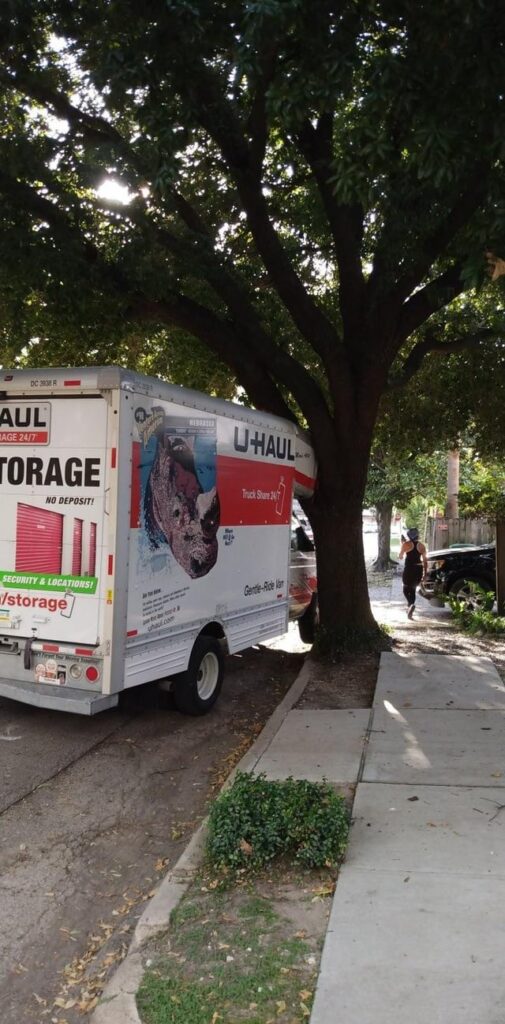 Someone drove a U-Haul truck into the oak tree in front of my house!