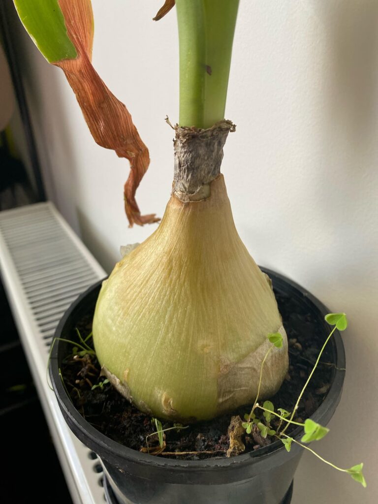 What am I doing wrong? What am I doing wrong?