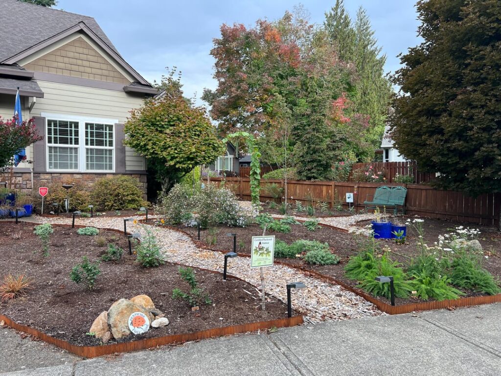 UPDATE: Front Lawn to Native Pollinator Garden | Near Portland, OR / Zone 9a UPDATE: Front Lawn to Native Pollinator Garden | Near Portland, OR / Zone 9a