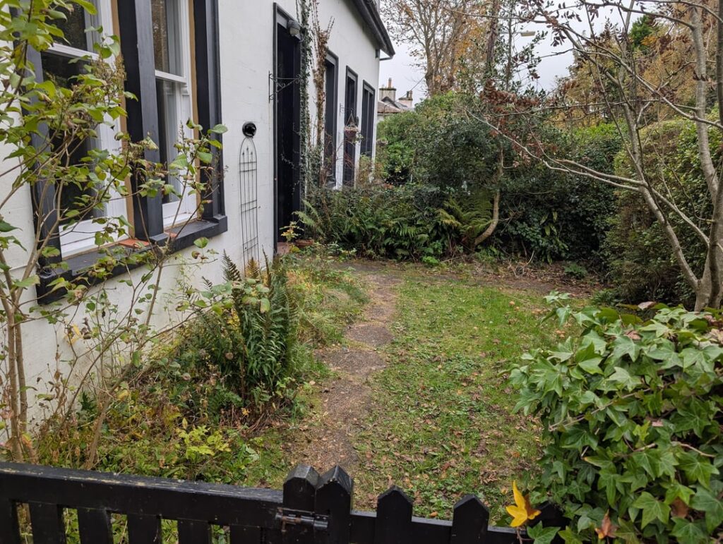 First time garden owner - suggestions needed!