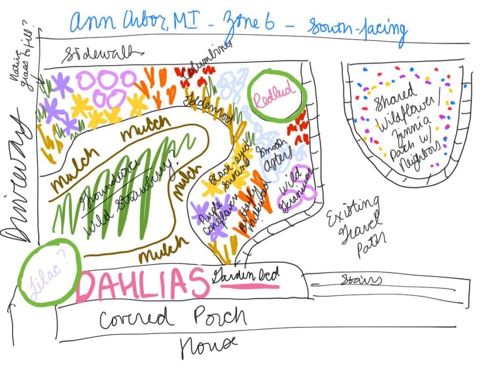 Give me feedback on my very amateur attempt at a (mostly) native perennial front yard design?
