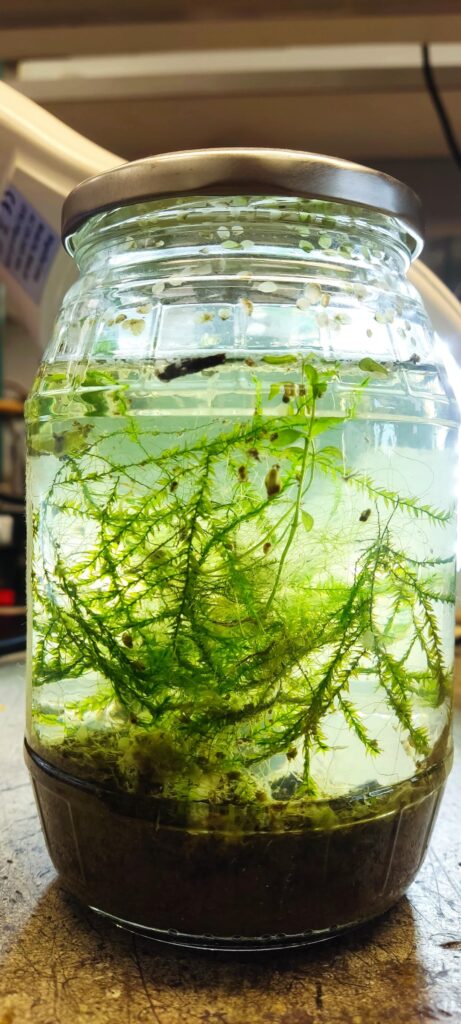 My jar since September 20