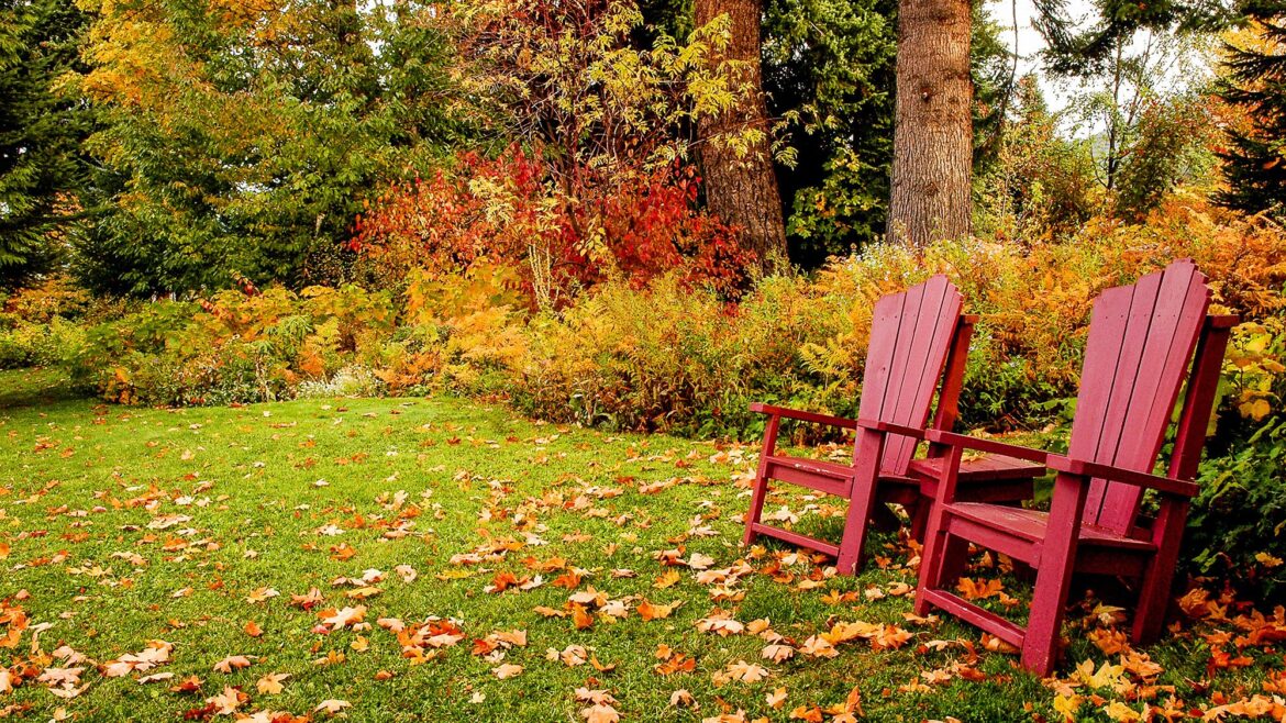 Households urged to avoid this popular fall plant that can ‘affect your heart’s rhythm and be fatal if consumed’ Households urged to avoid this popular fall plant that can 'affect your heart’s rhythm and be fatal if consumed'