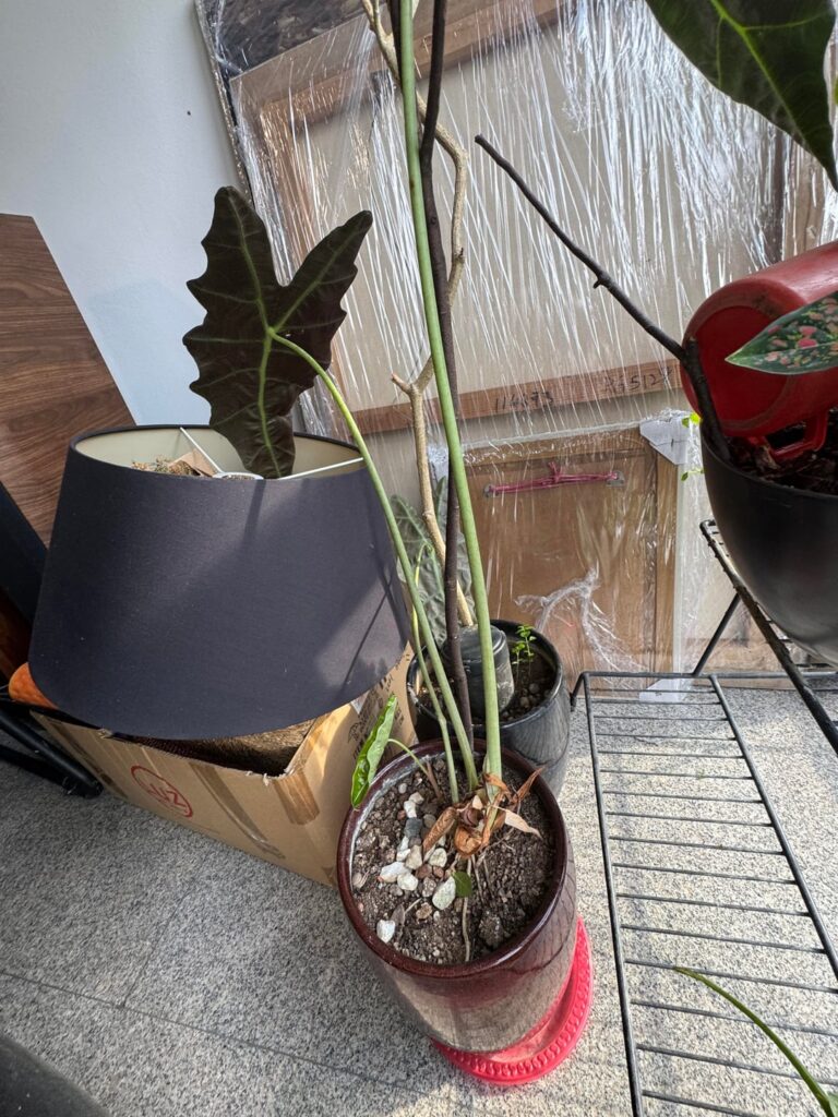 I’m absolutely heartbroken