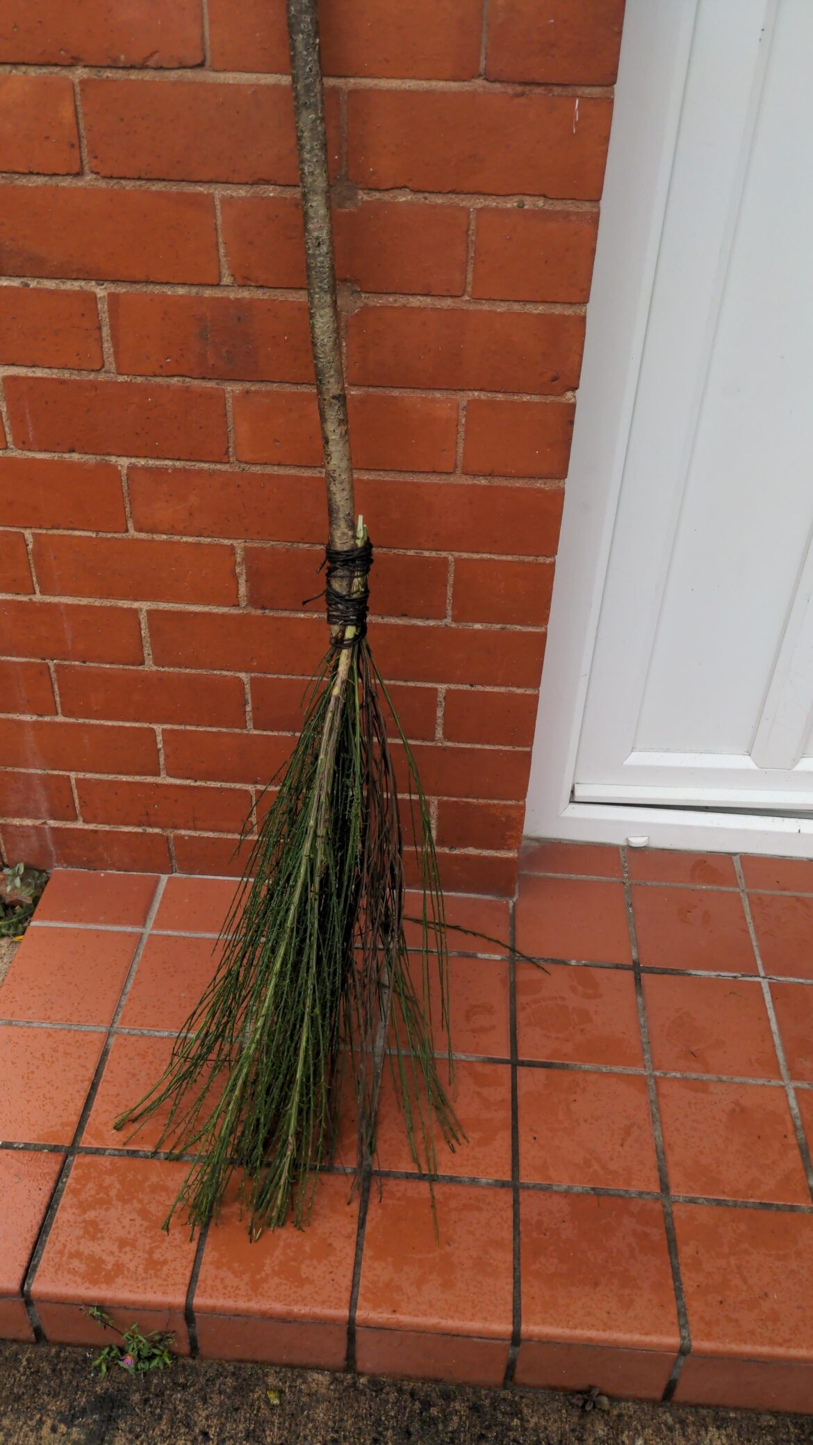 Broom from broom