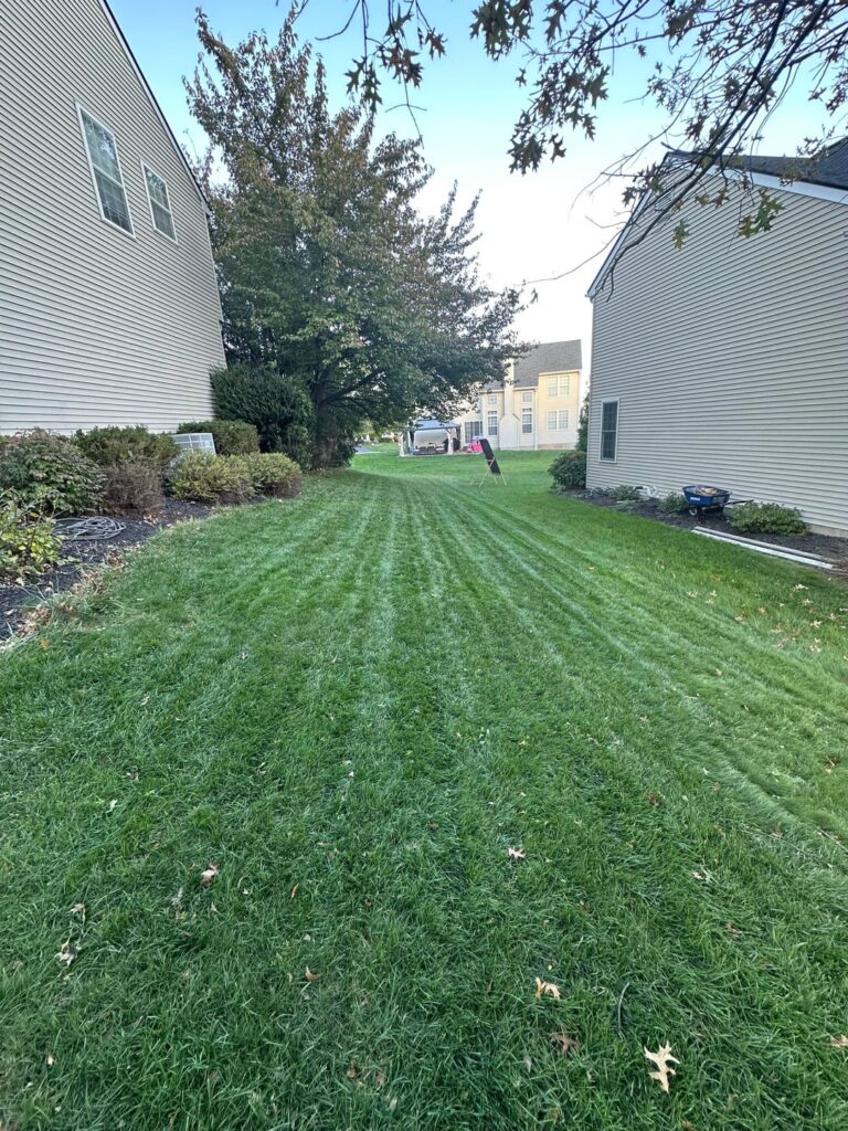 Another Successful Fall