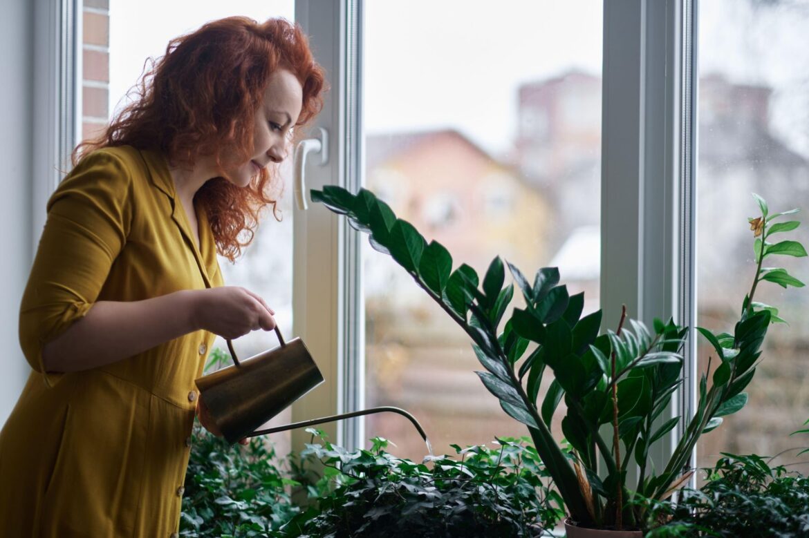 How gardening can help banish the winter blues How gardening can help banish the winter blues