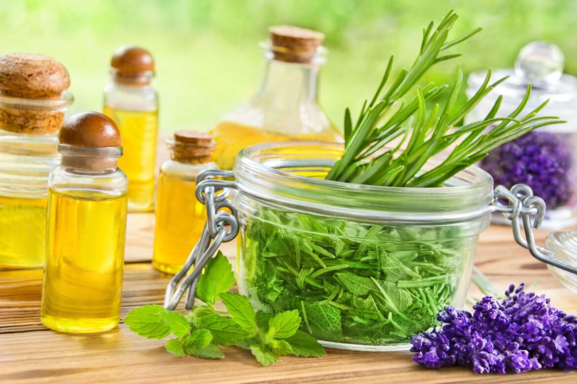 Garden-inspired home-made Christmas gifts - The Portugal News