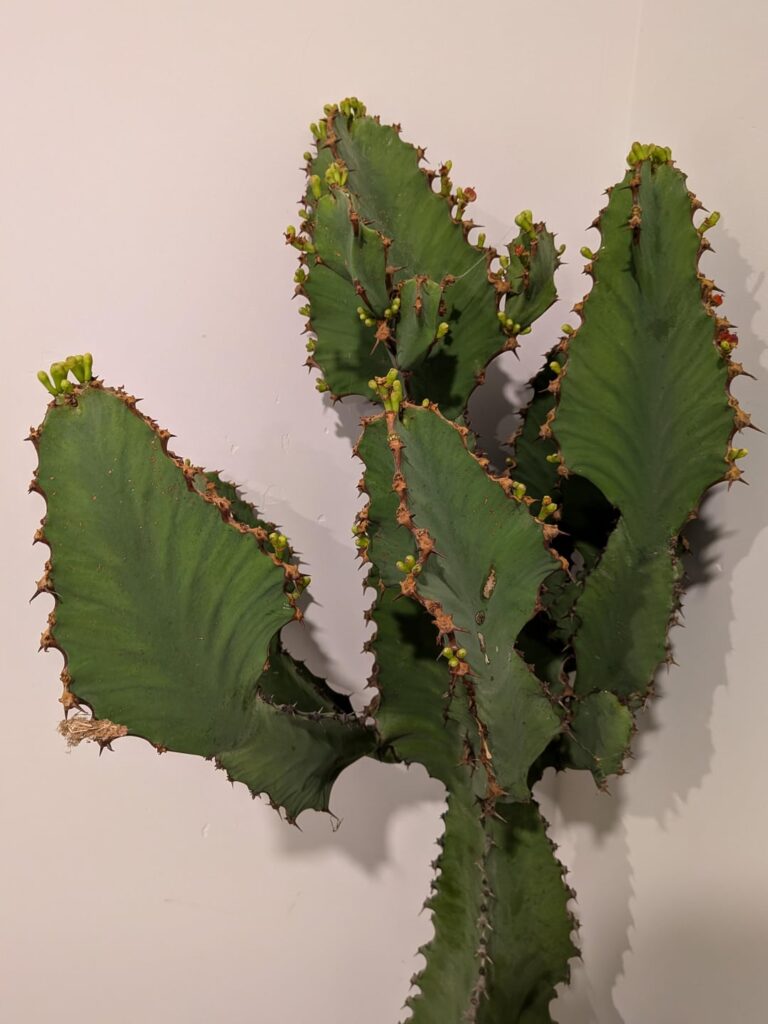 Can I get an ID on these 2 please