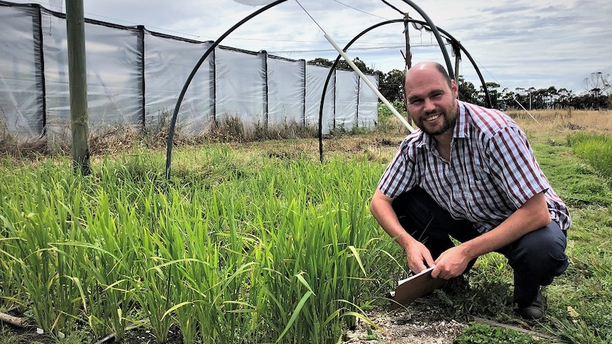 Market gardener says proposed changes to Tasmanian produce regulations are ‘nonsense’ Market gardener says proposed changes to Tasmanian produce regulations are 'nonsense'