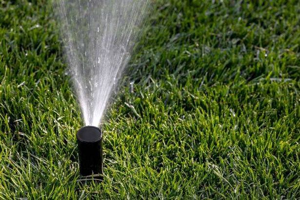 Close-up of a sprinkler and green grass.