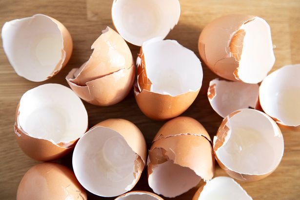 A collection of cracked egg shells on a wooden surface.