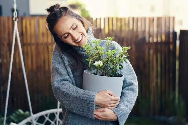 Woman gardening