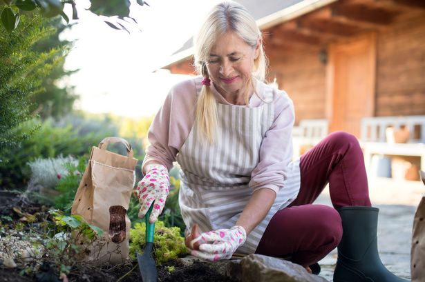 Woman gardening