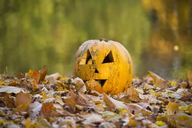 An abandoned carved pumpkin in a forest