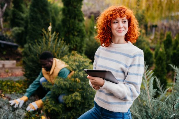 two friends working in garden checking plants