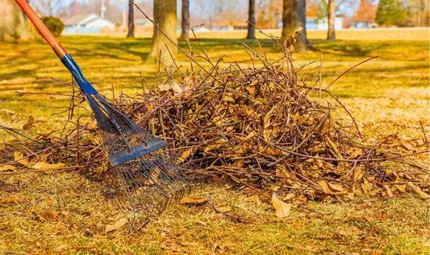 Picture of leaves and twigs piled up in a garden