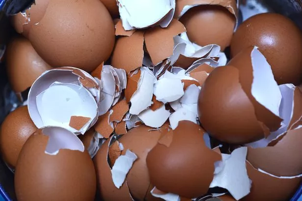 Close-up view of a heap of broken brown eggshells. Shows kitchen waste, food scraps, or material for composting and recycling. Useful for themes of cooking, baking, waste management, and sustainable living.