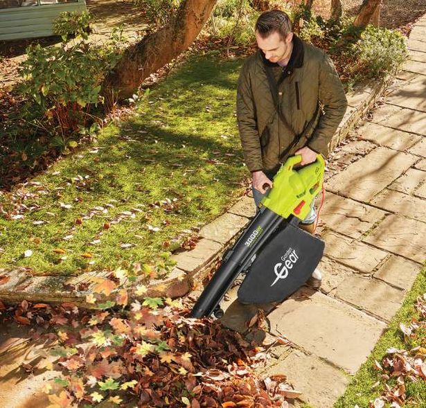 Thompson & Morgan's 3-in-1 Blower Vac 3500W