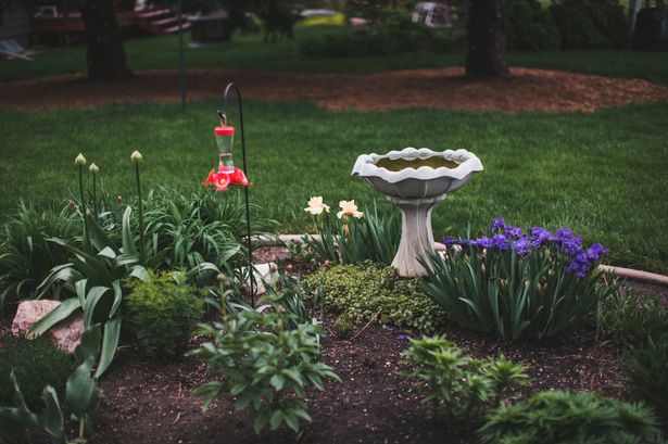 A gardener was amazed after spotting a woodpecker in their garden (stock)