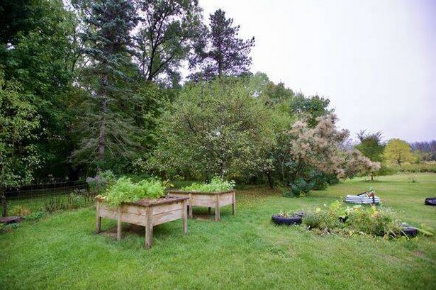 Two wooden raised garden beds